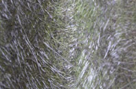 Elmley Castle fibreglass roof work